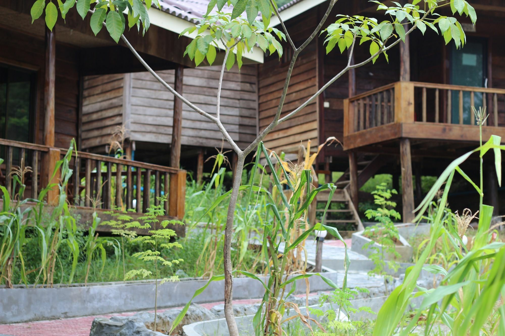Golden Bungalows Kaoh Touch Exteriér fotografie